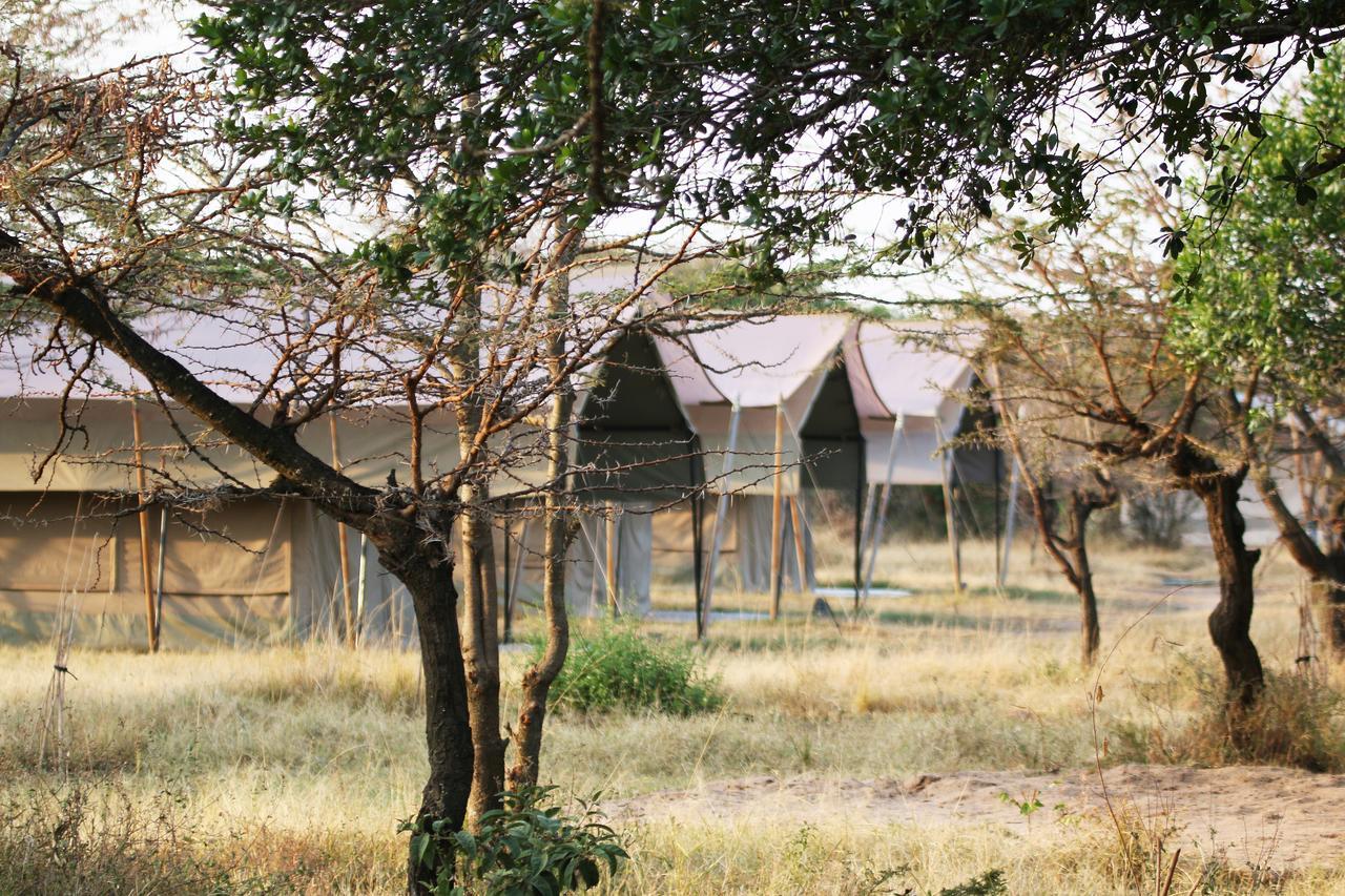 Hotel Olengoti Eco Safari Camp à Talek Extérieur photo